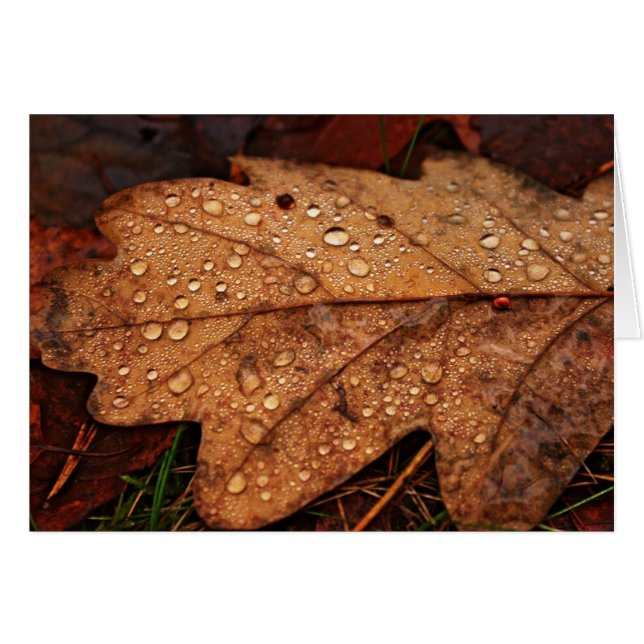 Tarjeta de hoja amarilla de otoño (Anverso (Horizontal))