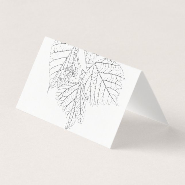 Tarjeta de hojas de Basswood (Anverso)