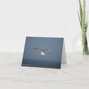 Tarjeta de hojas de gaviota