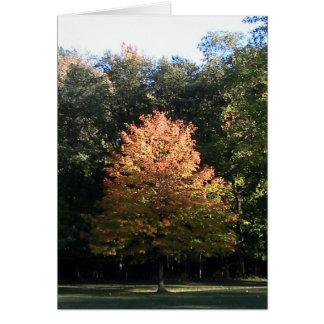 Tarjeta de hojas de otoño (plantilla)