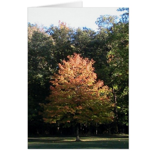 Tarjeta de hojas de otoño (plantilla) (Frente)