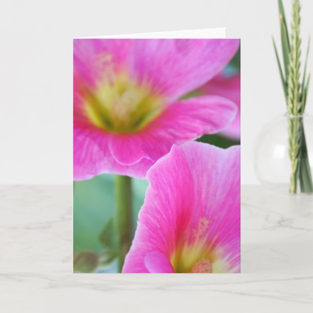 Tarjeta de hollyhocks rosa brillante (Anverso)