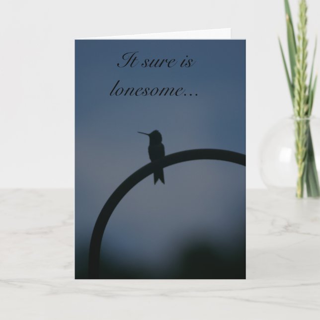Tarjeta de Hummingbird (Anverso)