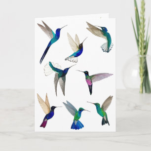 Tarjeta de Hummingbirds Tropical
