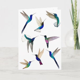 Tarjeta de Hummingbirds Tropical