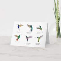 Tarjeta de Hummingbirds Tropical