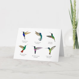 Tarjeta de Hummingbirds Tropical