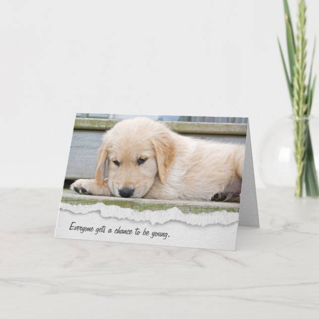Tarjeta de humor de cumpleaños de Golden Retriever (Anverso)