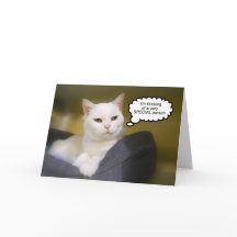 Tarjeta de humor de cumpleaños para gato blanco