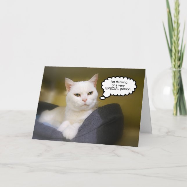Tarjeta de humor de cumpleaños para gatos blancos  (Anverso)