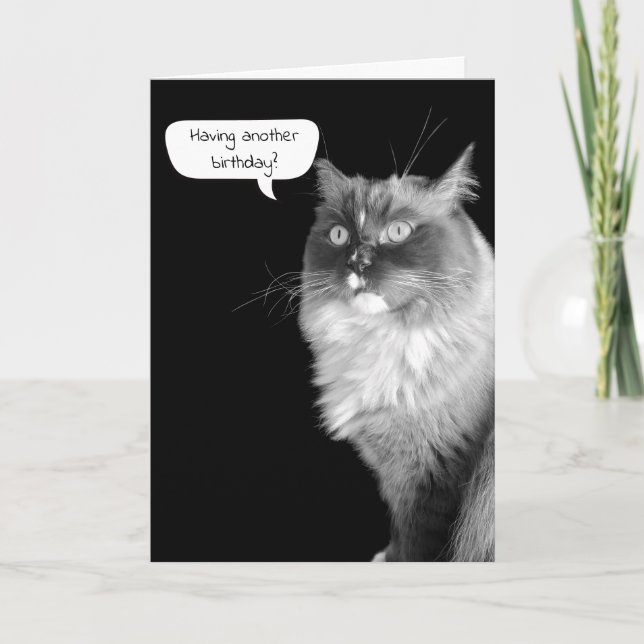 Tarjeta de humor de cumpleaños Ragdoll (Anverso)