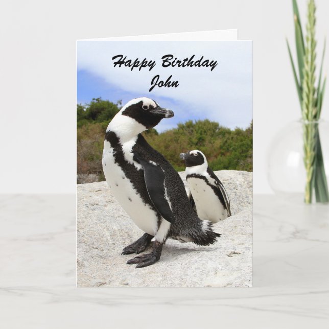 Tarjeta de humor de los pingüinos de cumpleaños Jo (Anverso)