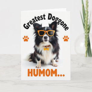 Tarjeta de Humor de Perro Genial y Guay