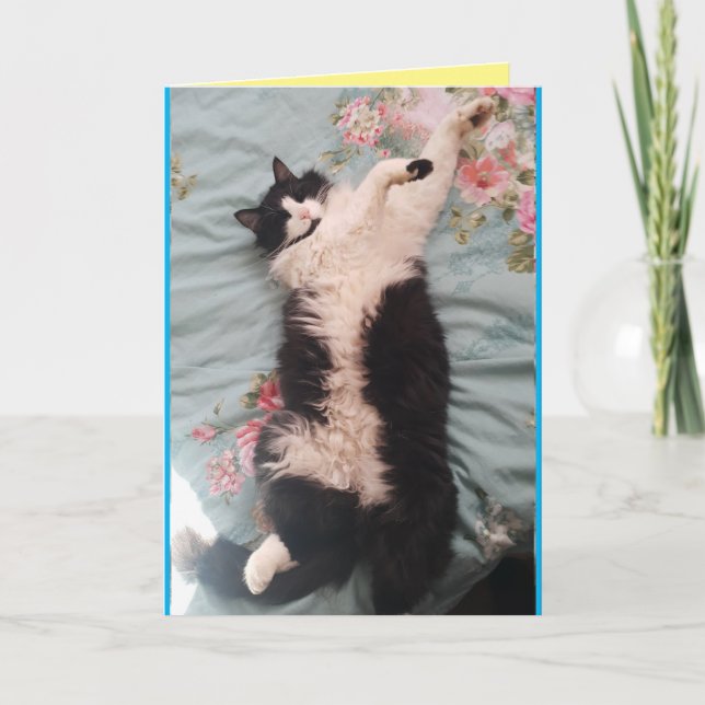 Tarjeta de humor divertida para gatos de Tuxedo (Anverso)