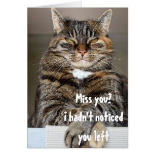 Tarjeta de humor divertido de gato de juicio que t