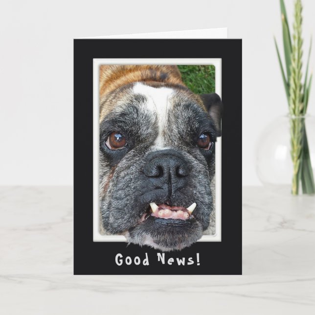 Tarjeta de humor para cumpleaños de bulldog (Anverso)
