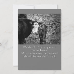 Tarjeta de humor para vacas
