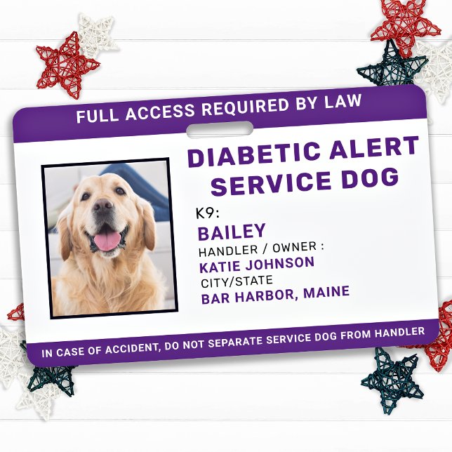 Tarjeta De Identificación Alerta diabética Servicio personalizado Dog Photo  (Subido por el creador)