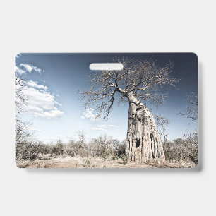 Tarjeta De Identificación Árbol Baobab en el Parque Nacional de Mana Pools,