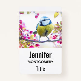 Tarjeta De Identificación Ave azul y amarillo bonito en una foto de una sucu