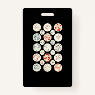 Tarjeta De Identificación bacterias microbiología divertida bacteriología ci