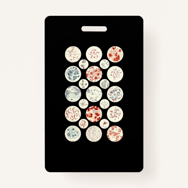 Tarjeta De Identificación bacterias microbiología divertida bacteriología ci (Anverso)