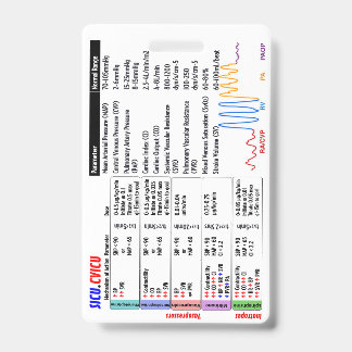 Tarjeta De Identificación Badge