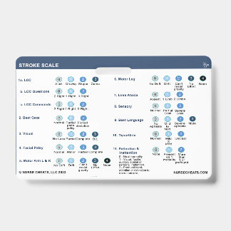 TARJETA DE IDENTIFICACIÓN BADGE DE ESCALA DE RETRASO