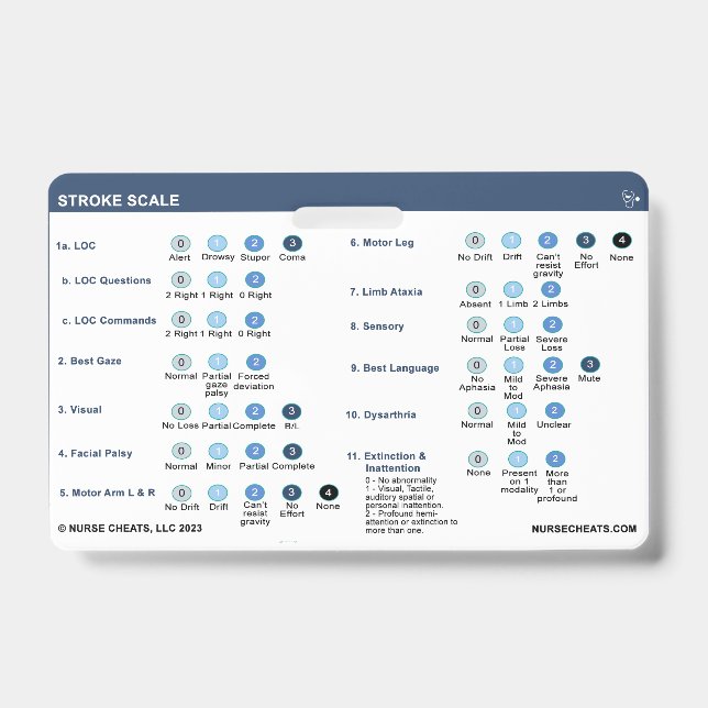 TARJETA DE IDENTIFICACIÓN BADGE DE ESCALA DE RETRASO (Anverso)