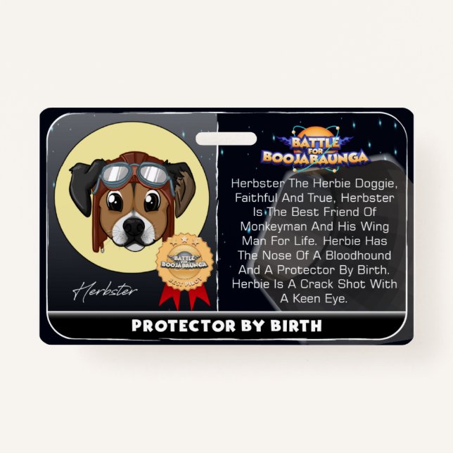 TARJETA DE IDENTIFICACIÓN BAF HERBSTER (Anverso)