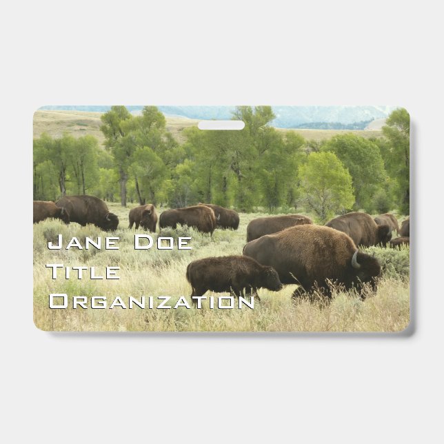 Tarjeta De Identificación Bisonte de Wyoming (Parte frontal)