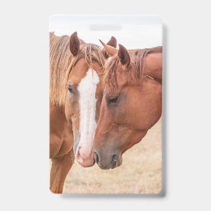 Tarjeta De Identificación Caballos hociqueando en un prado