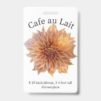 Tarjeta De Identificación Cafe au Lait Dahlia ID Badge