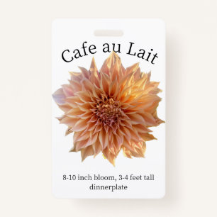 Tarjeta De Identificación Cafe au Lait Dahlia ID Badge