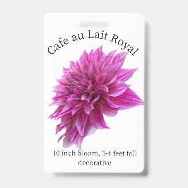 Tarjeta De Identificación Cafe au Lait Royal Dahlia ID Badge