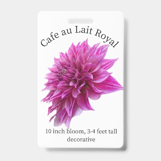 Tarjeta De Identificación Cafe au Lait Royal Dahlia ID Badge (Parte frontal)