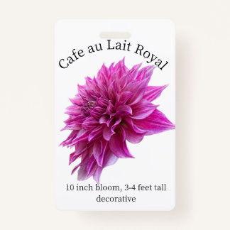 Tarjeta De Identificación Cafe au Lait Royal Dahlia ID Badge