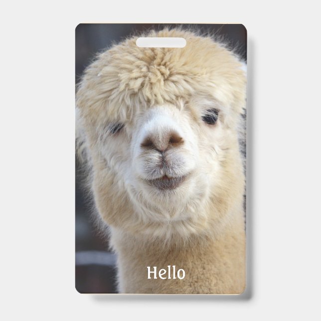 Tarjeta De Identificación Cara de alpaca linda  (Parte frontal)