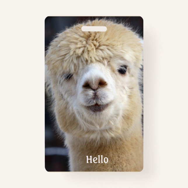 Tarjeta De Identificación Cara de los Alpes (Anverso)