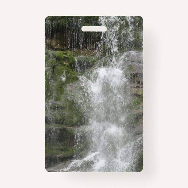 Tarjeta De Identificación Cascada La Chute en el Parque Nacional Forillon (Anverso)