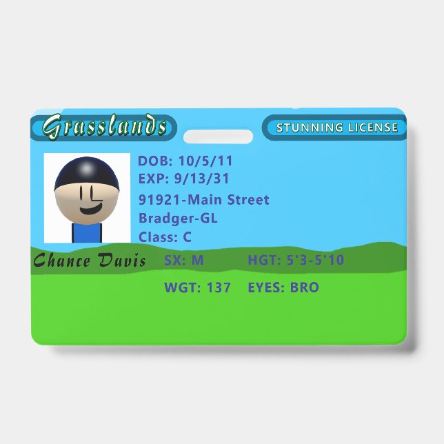 Tarjeta De Identificación Chance's Stunning License (Front)