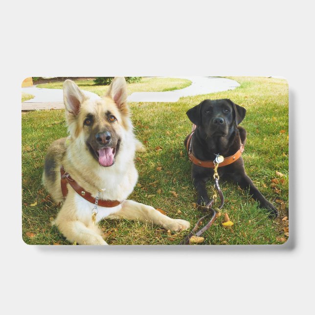 Tarjeta De Identificación Chicas de trabajo (Front)