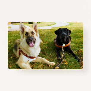 Tarjeta De Identificación Chicas de trabajo