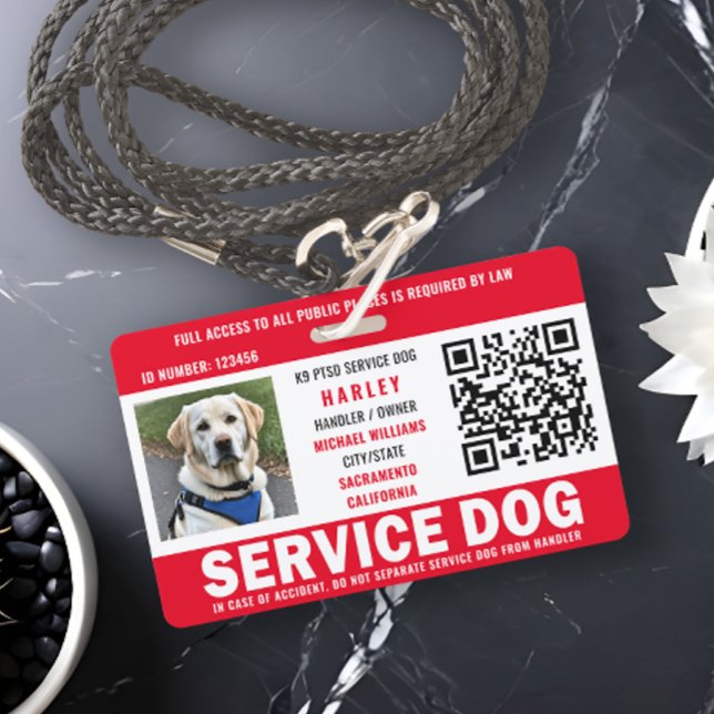 Tarjeta De Identificación Código QR de identificación fotográfica de perro d (Subido por el creador)