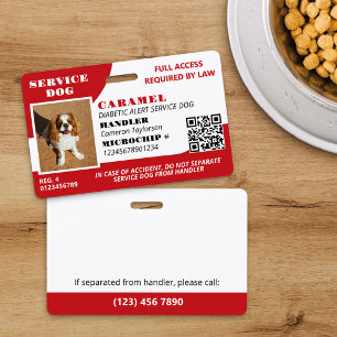 Tarjeta De Identificación Código QR de Identificación Fotográfica para Perro