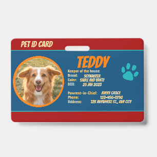 Tarjeta de identificación con foto de contacto de