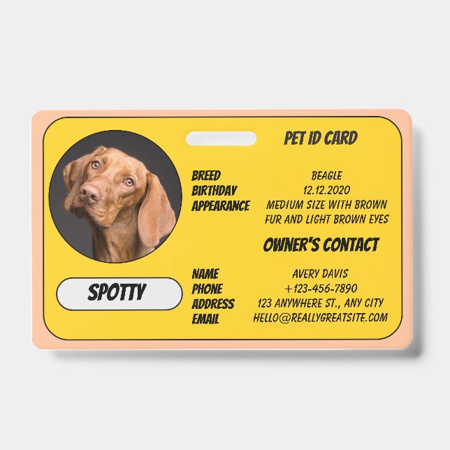 Tarjeta de identificación con foto de mascota perd (Parte frontal)