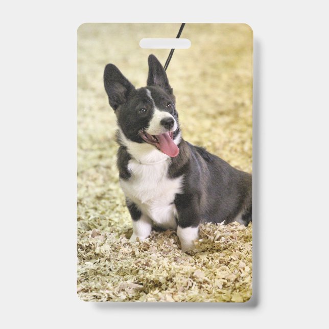 Tarjeta De Identificación Corgi (Parte frontal)