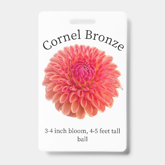 Tarjeta de identificación Cornel Bronze Dahlia (Parte frontal)