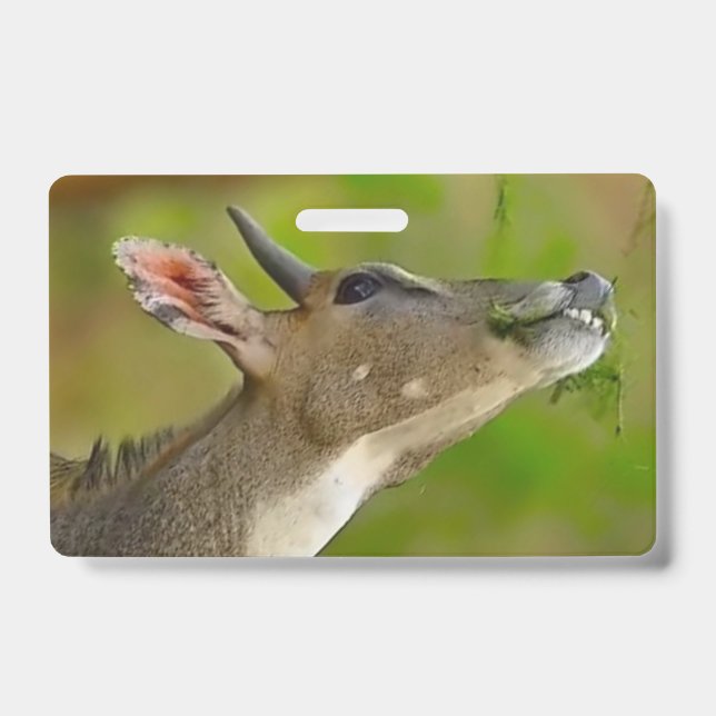 Tarjeta De Identificación Custom deer (Anverso)